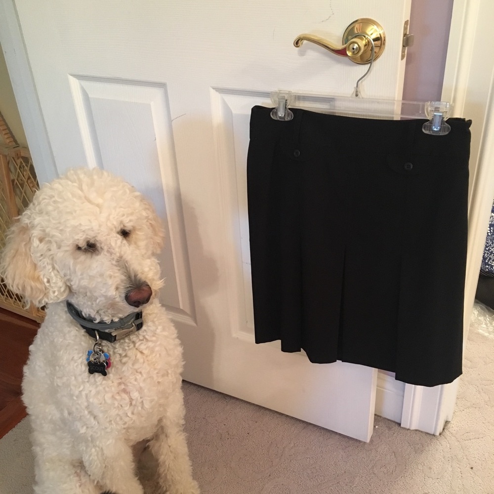 Ann Taylor Loft black skirt